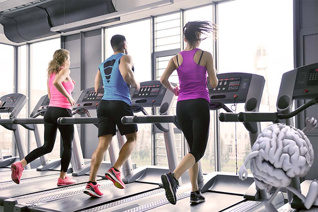 un aparato de cardioprotección