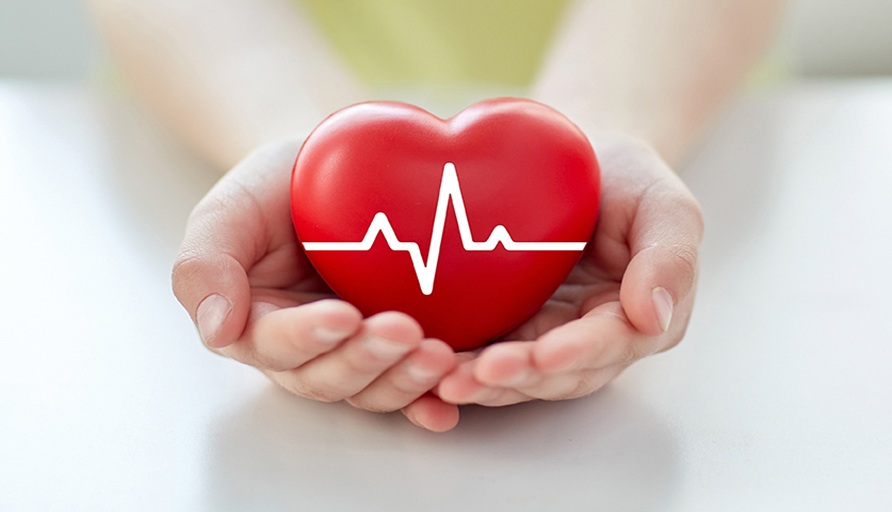 Muchas manos sosteniendo un corazón