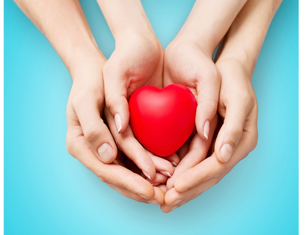 una foto que simboliza un corazón en una mano